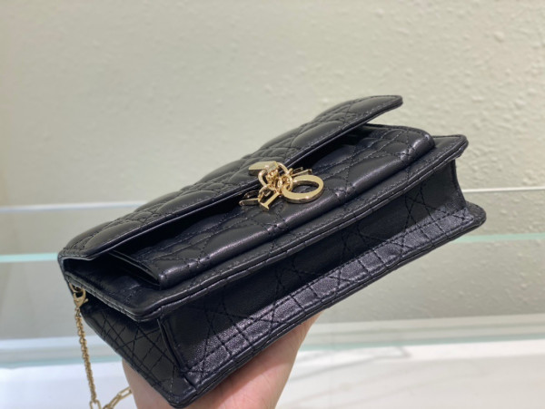 D*or lady D*or chain pouch