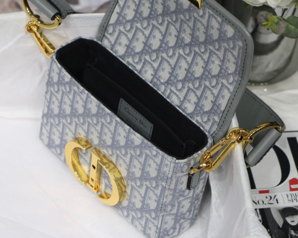 D*or 30 montaigne bag