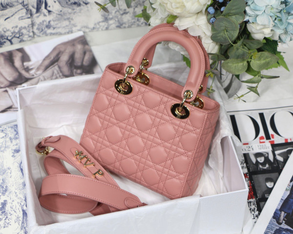 lady D*or my abcD*or bag-20cm