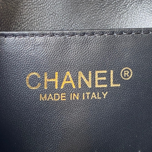 CL SMALL HOBO BAG