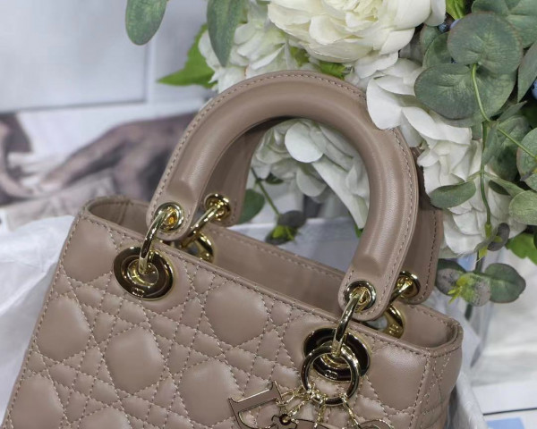 lady D*or small-20-16.5-8cm