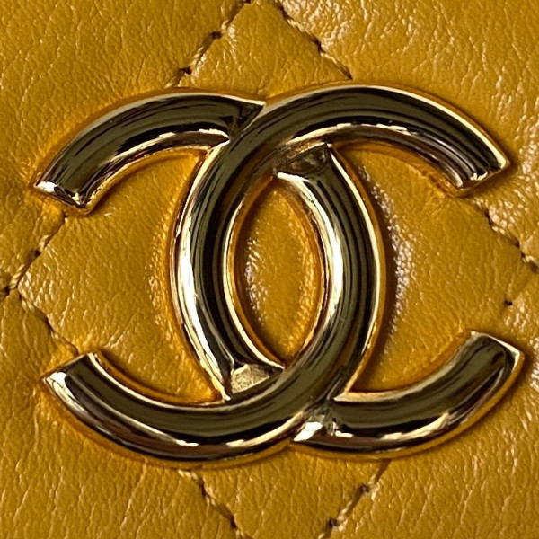 CL CLUTCH WITH CHAIN