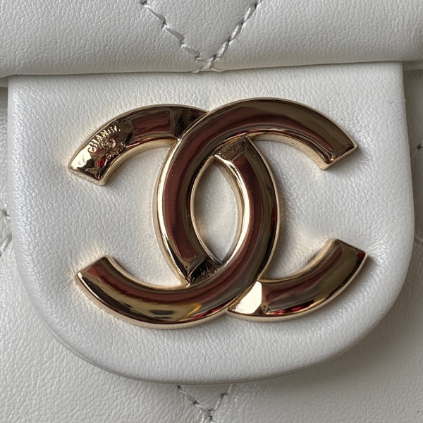 CL MAXI HOBO HANDBAG