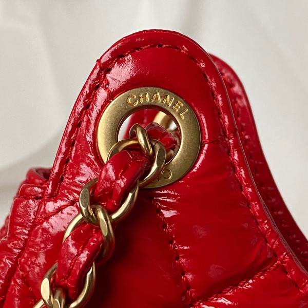 CL SMALL HOBO HANDBAG