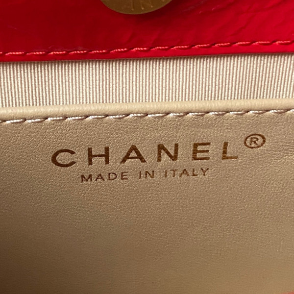 CL SMALL HOBO HANDBAG
