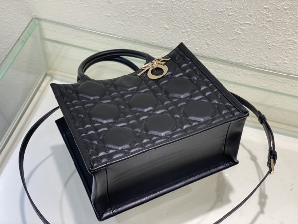 small D*or book tote