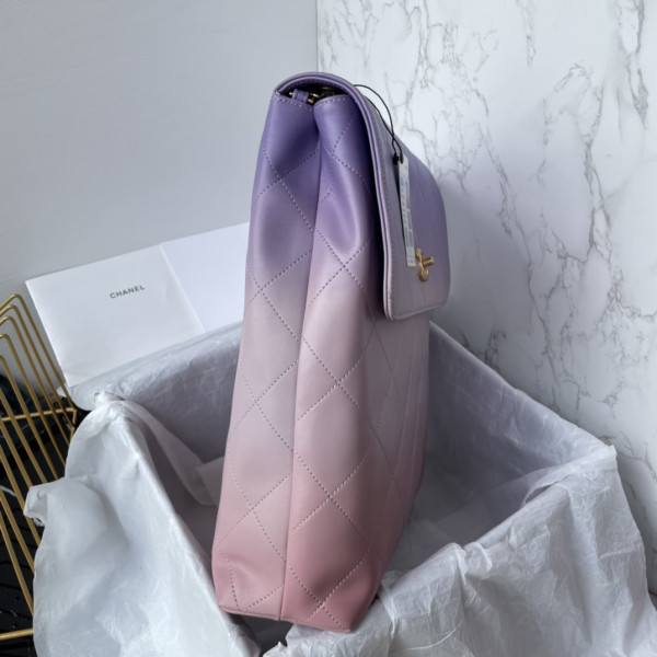 CL LARGE HOBO BAG