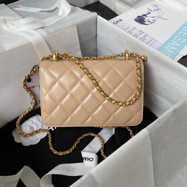 CL FLAP BAG -12X19X8CM