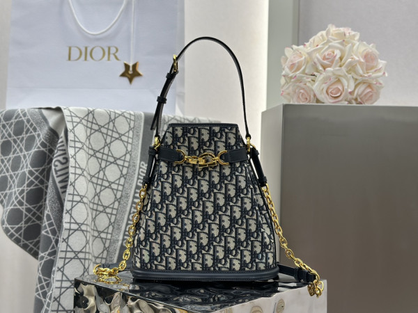 medium c''est D*or bag-24*24.5*10cm