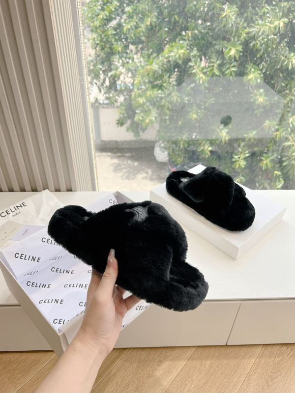 Ce**e slides